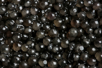 Black caviar background - obrazy, fototapety, plakaty