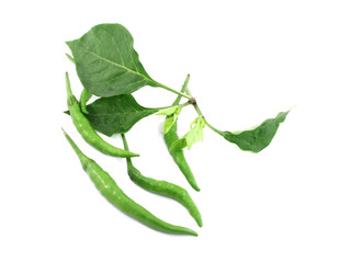 green chilli peppers isolated on white