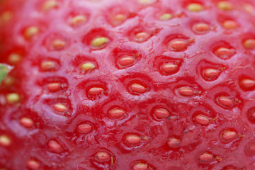 strawberry background