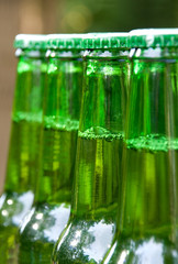 Row of Green Beer Bottles Unopened