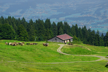 Wanderweg in den österreichischen Alpen