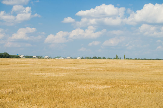 view on the villiage after harvesting