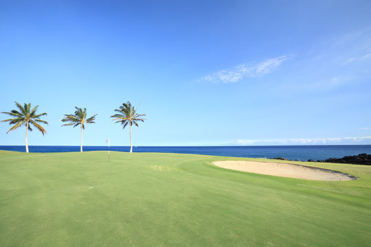 Golf Course on Green Ocean Shore of  Kona Island, Hawaii