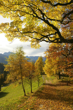 beautiful autumn moode