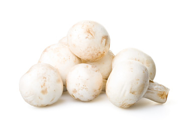 Fresh mushrooms isolated on a white background.