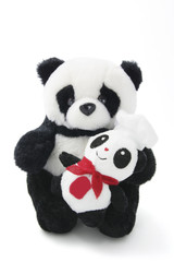 Soft Toy Panda with Baby on White Background