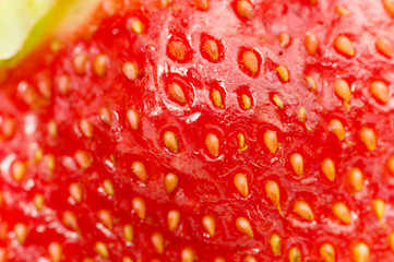 Textured red strawberry background - extreme close up