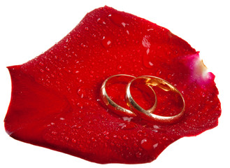 Wedding rings on a red rose petal,  isolated