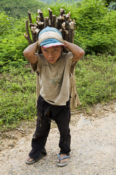 Kind transportiert Brennholz, Laos