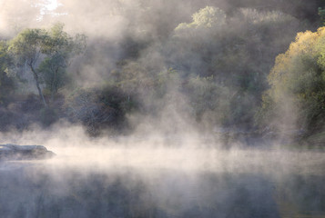 Autumn mist over still waters in a New Zealand rainforest