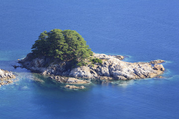 disturbed heart island with sepulchral pines