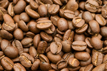 coffee beans background