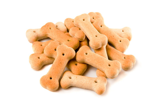 Group of dog biscuits