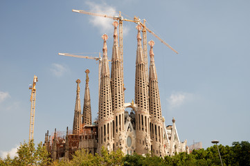 Naklejka premium Famous landmark of Barcelona Sagrada Familia, Spain