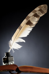 a feather quill in an ink bottle on an open book