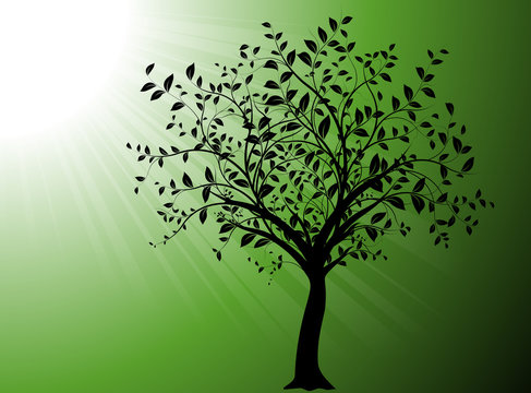 vector serie - gardening, tree with green backgound and sun