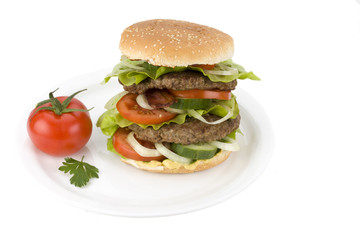 detail of a home made hamburger on a white plate