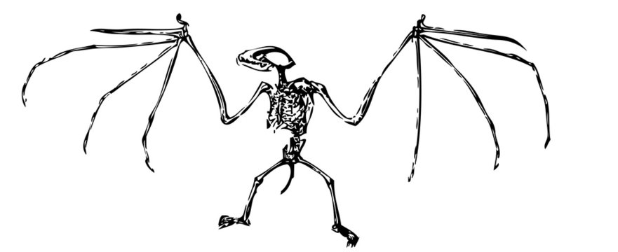 Grotesque Halloween Bat