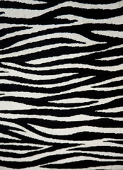 Fototapeta na wymiar Zebra tkaniny tekstury