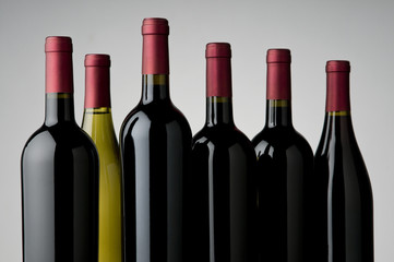 assorted wine bottles