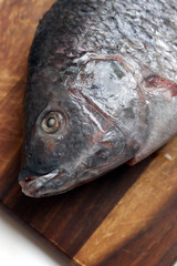 Market fish close-up