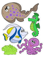Cute marine animals collection 3