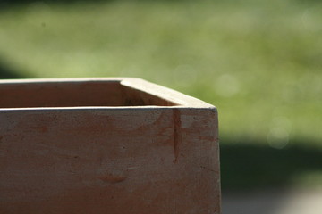 bordure ocre en macro