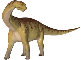 Camarasaurus-3D Dinosaurier