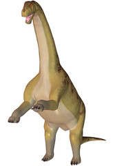 Camarasaurus-3D Dinosaurier