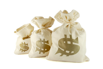 Fototapeta na wymiar Three bags with money on the white background