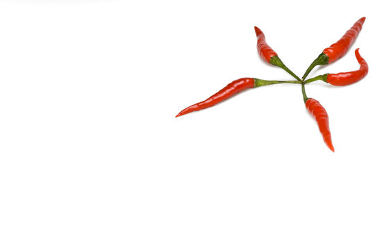 red chili peppers laying in form of starfish