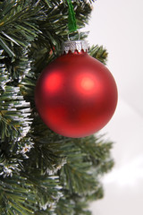 Chriastmas Tree Ornament