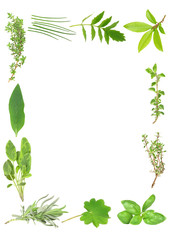 Culinary and Medicinal Herbs