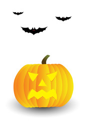 Halloween pumpkin and bats