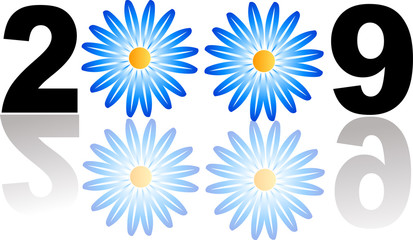 New Year 2009, flowers