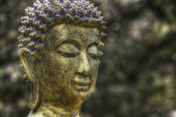 Buddha head
