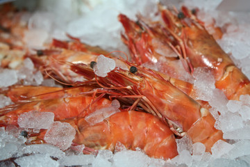 Gambas auf Eis © Esther Hildebrandt