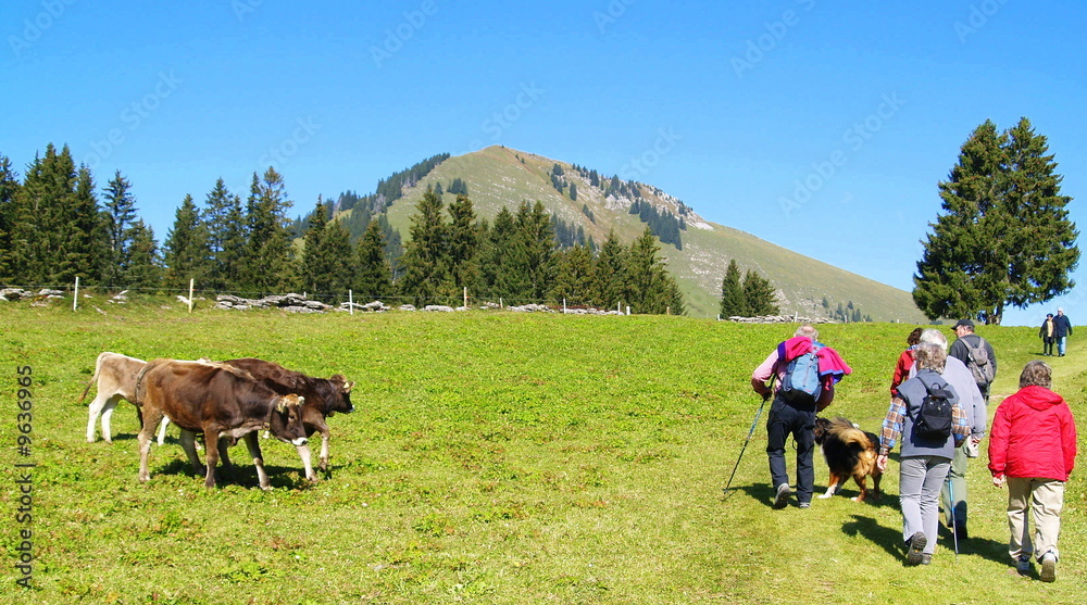 1000_F_9636965_un1itW2ddUb6955uqfUjpBZqUM4cfOoP.jpg
