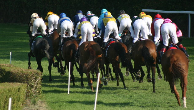 joker, cheval, chevaux, course, casaque, toque,
