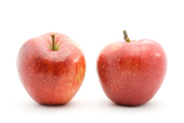 red apples studio isolated over white