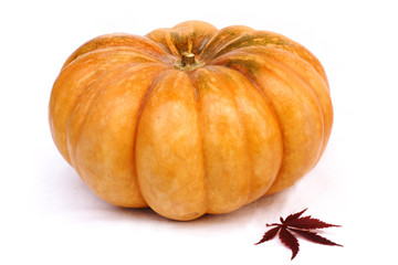pumkin and leaf