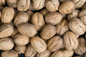 Background made of the walnuts