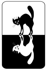 Black and white cats on leisure card. Vector illustration.