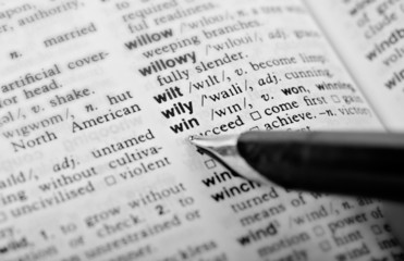 fountain pen points to defintion of win