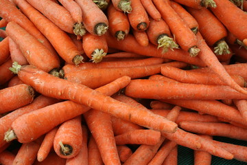 Carrots