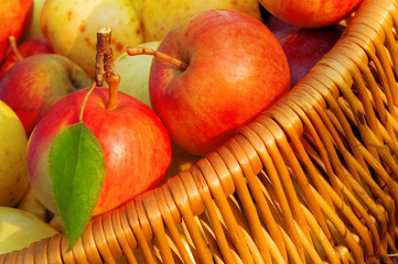basket with apple close up