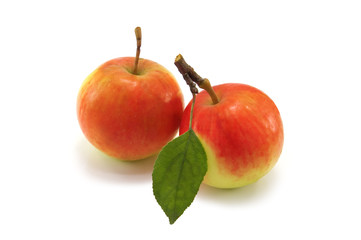 twored apple isolated on white