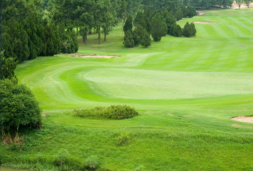 beautiful golf park.landscape of a green field with trees