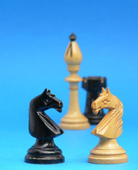 Two chess Knights against blue background © Pavel Drozda