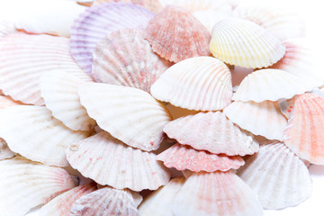 Shells